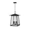 Z-Lite Rainer 5 Light Outdoor Chain Mount Ceiling Fixture, 15.5in. W x 24in. H, Black 5015CHXL-BK - alternate 1